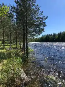 Сегежа Парк - 25