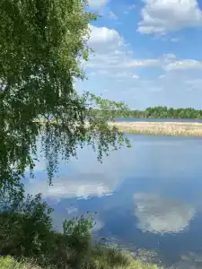 Старица - 24