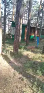 Голубые огни - 31