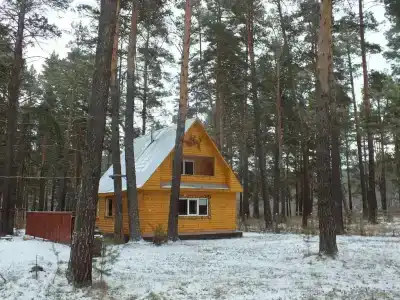 Белка - 2