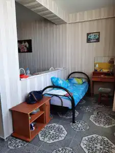 Дельфин - 21