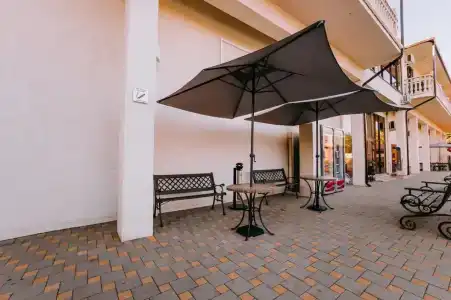 Горгиппия - 20