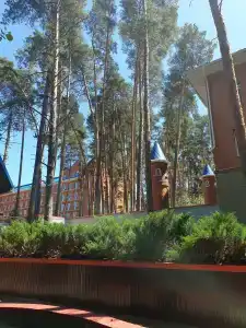 Нежеголь - 13