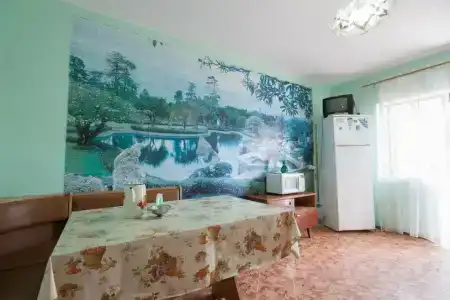 Лейла - 20