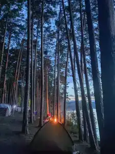Тур - 7