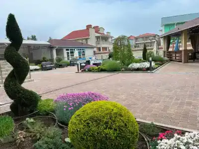 Золотой лев - 65