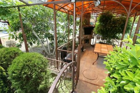 Дельфиния - 2