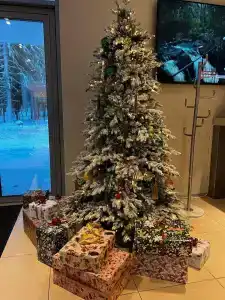 Игора. Времена года - 28