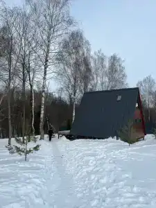 Ильинка лес - 33