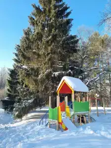 Березки - 79