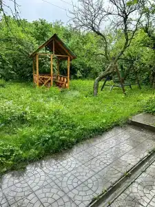 Хонга - 4