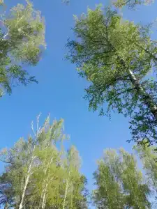 Бережок - 3