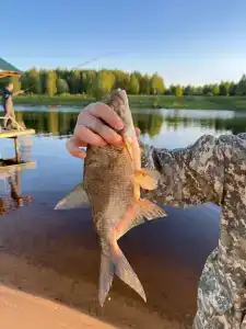 Гостевой дом на берегу Волги - 17