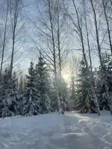 Саф - 48