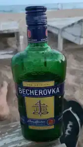Гвоздика - 47