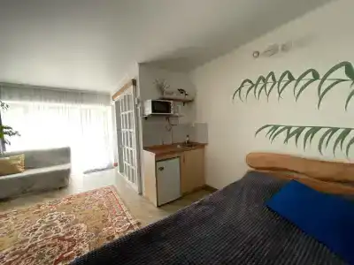 Горный родник - 49