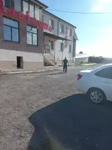 У Альберта - 14