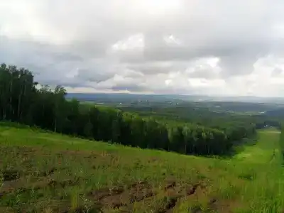 Берлога - 11