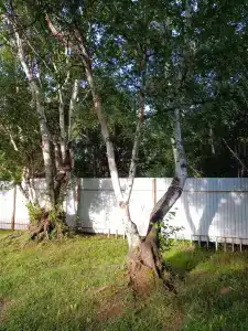 Медвежий угол - 35
