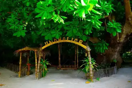 Biyadhoo Island Resort - 44