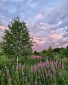 Глэмпинг TeepeeTop - 11