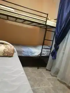 Авокадо на Смольной - 5