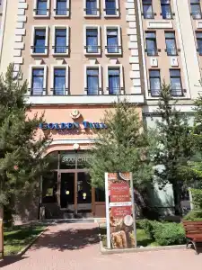 Голден Тюлип - 35