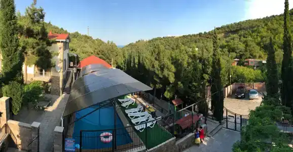 Дельфин - 17