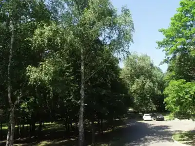 Горки - 7