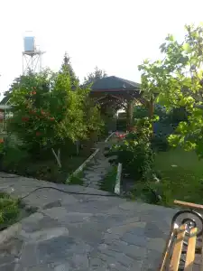 Эльмаз - 41
