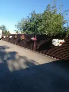 Медвежка - 40