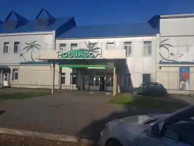 Робинзон - 39