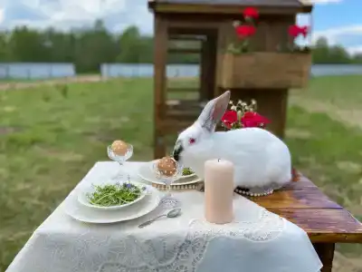 12 Дубов - 10