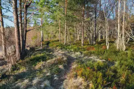 Karelia Village - 72