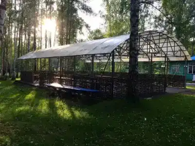 Берёзка - 4