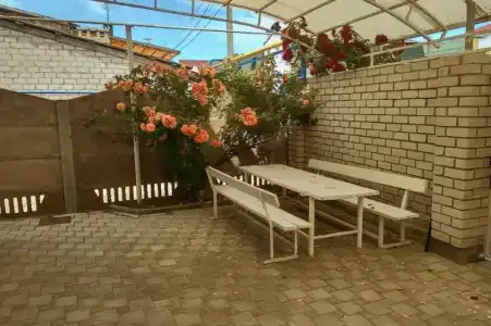 Василёк - 1