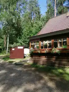Лесовичок - 14