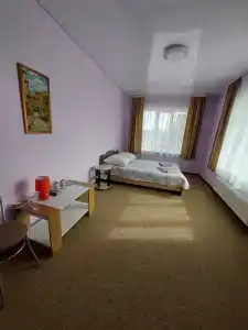 Васильки - 2