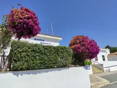 Hylatio Tourist Village - 36