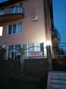 Stella di mare - 20