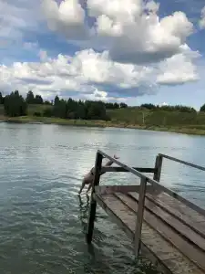 Экоферма в Василево - 24