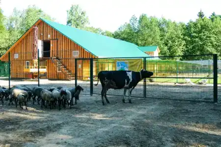 Веретьево - 11