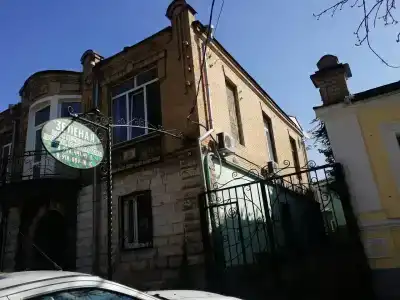 Зеленая - 3