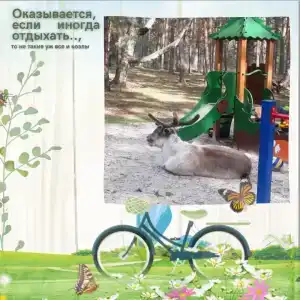 Домик в лесу - 48