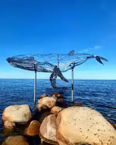 Гавань - 1