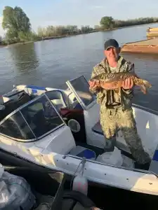 Все Свои - 29