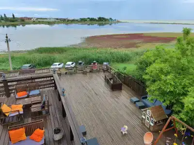 Совы - 8