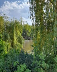 Монахов пруд - 52