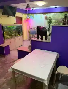 Уютный - 3