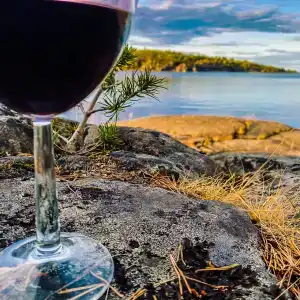 Saari - 18